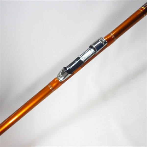 ２０キャスティズム２５－３８５